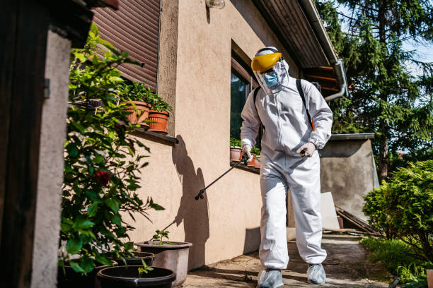 Best Affordable Pest Control Services  in Emory, VA