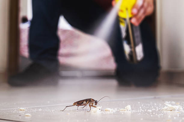 Best Exterminator Services  in Emory, VA