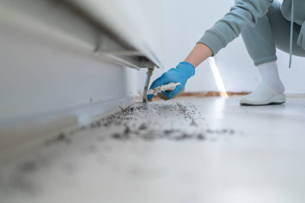 Best Residential Pest Control  in Emory, VA